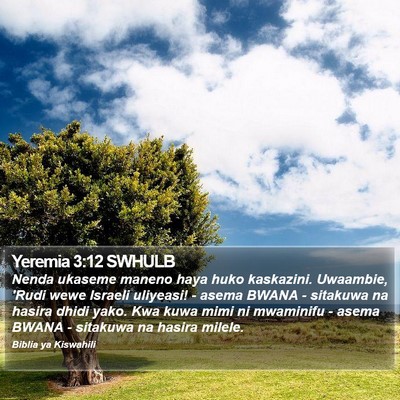 Yeremia 3:12 SWHULB Bible Verse Image