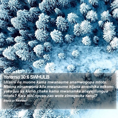 Yeremia 30:6 SWHULB Bible Verse Image