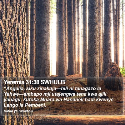 Yeremia 31:38 SWHULB Bible Verse Image