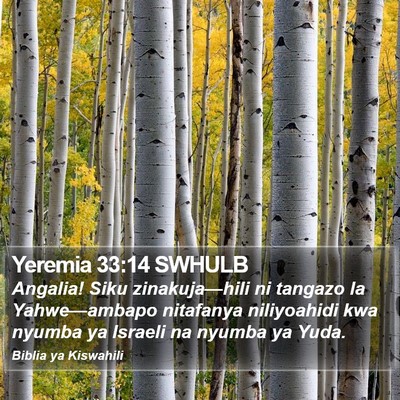 Yeremia 33:14 SWHULB Bible Verse Image