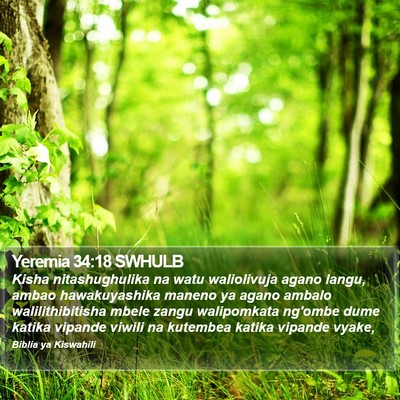 Yeremia 34:18 SWHULB Bible Verse Image