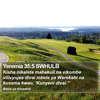 Yeremia 35:5 SWHULB Bible Verse Image