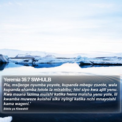 Yeremia 35:7 SWHULB Bible Verse Image