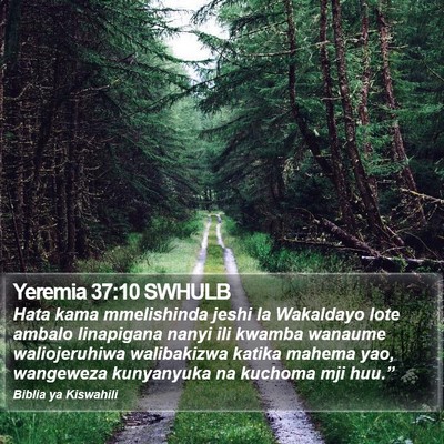 Yeremia 37:10 SWHULB Bible Verse Image