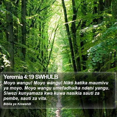 Yeremia 4:19 SWHULB Bible Verse Image