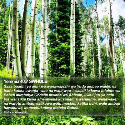 Yeremia 40:7 SWHULB Bible Verse Image