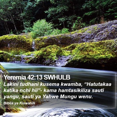 Yeremia 42:13 SWHULB Bible Verse Image