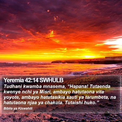 Yeremia 42:14 SWHULB Bible Verse Image