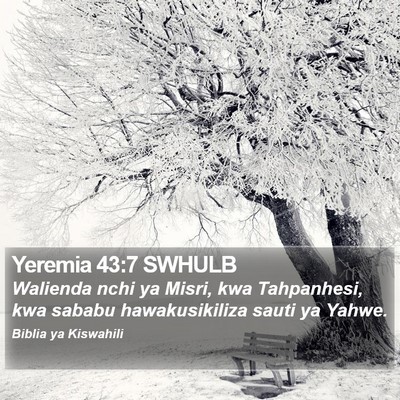 Yeremia 43:7 SWHULB Bible Verse Image