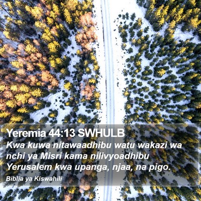 Yeremia 44:13 SWHULB Bible Verse Image