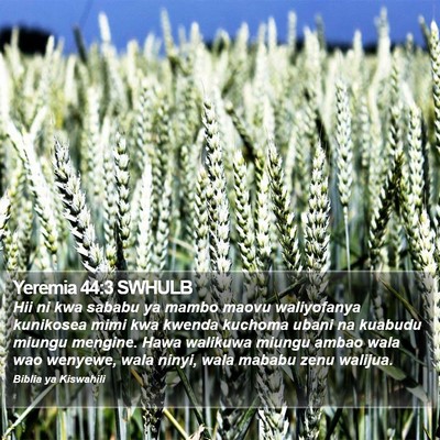 Yeremia 44:3 SWHULB Bible Verse Image