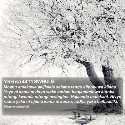 Yeremia 48:11 SWHULB Bible Verse Image
