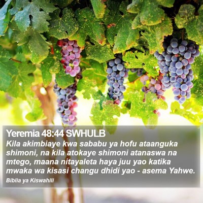 Yeremia 48:44 SWHULB Bible Verse Image