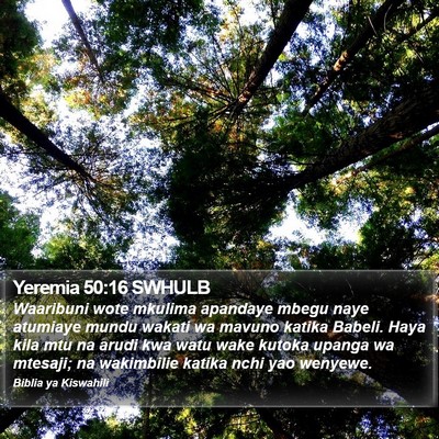 Yeremia 50:16 SWHULB Bible Verse Image