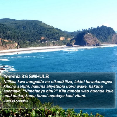 Yeremia 8:6 SWHULB Bible Verse Image