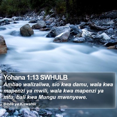 Yohana 1:13 SWHULB Bible Verse Image