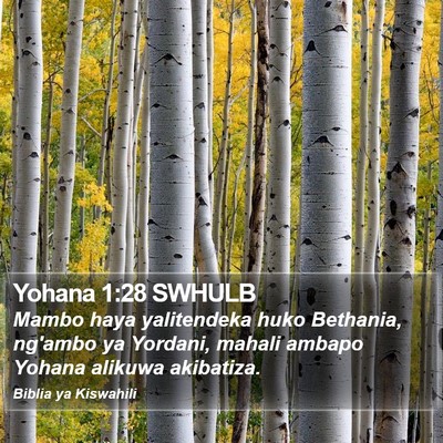 Yohana 1:28 SWHULB Bible Verse Image