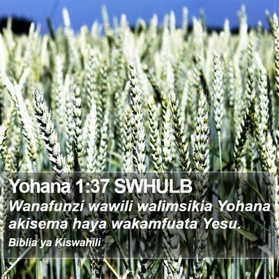 Yohana 1:37 SWHULB Bible Verse Image