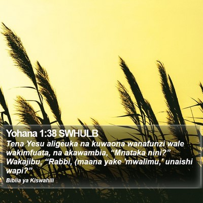Yohana 1:38 SWHULB Bible Verse Image