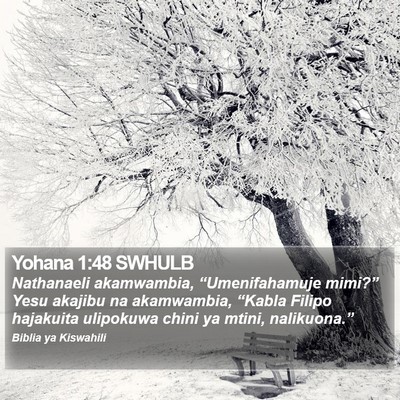 Yohana 1:48 SWHULB Bible Verse Image