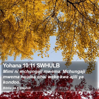 Yohana 10:11 SWHULB Bible Verse Image