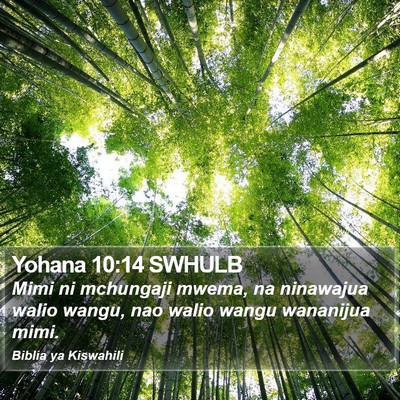Yohana 10:14 SWHULB Bible Verse Image