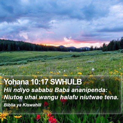 Yohana 10:17 SWHULB Bible Verse Image