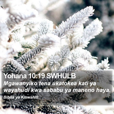 Yohana 10:19 SWHULB Bible Verse Image
