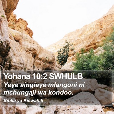 Yohana 10:2 SWHULB Bible Verse Image
