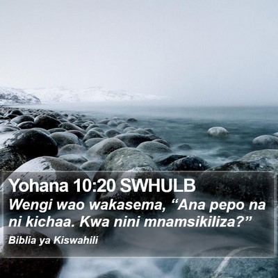 Yohana 10:20 SWHULB Bible Verse Image
