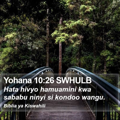 Yohana 10:26 SWHULB Bible Verse Image