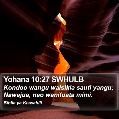 Yohana 10:27 SWHULB Bible Verse Image
