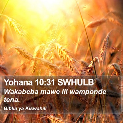 Yohana 10:31 SWHULB Bible Verse Image