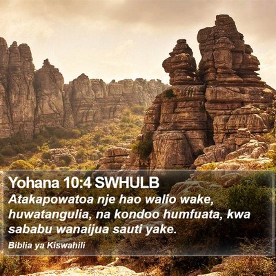 Yohana 10:4 SWHULB Bible Verse Image