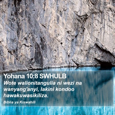 Yohana 10:8 SWHULB Bible Verse Image