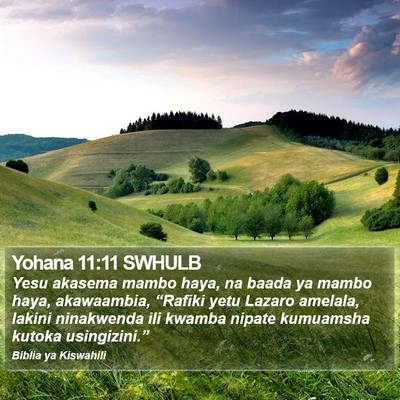 Yohana 11:11 SWHULB Bible Verse Image