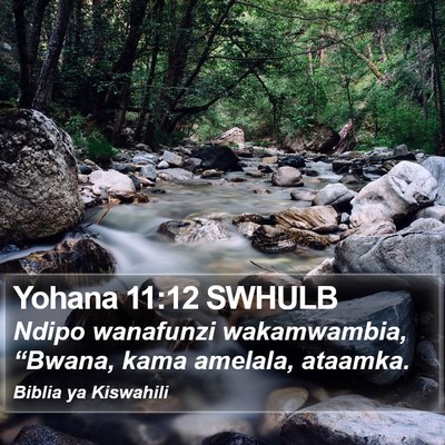 Yohana 11:12 SWHULB Bible Verse Image