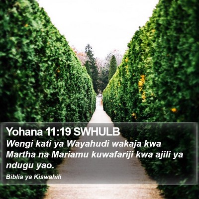 Yohana 11:19 SWHULB Bible Verse Image