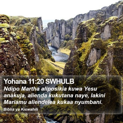 Yohana 11:20 SWHULB Bible Verse Image