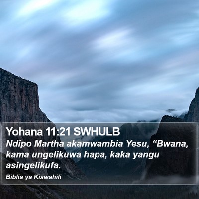 Yohana 11:21 SWHULB Bible Verse Image