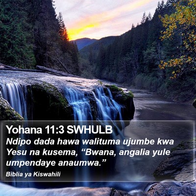 Yohana 11:3 SWHULB Bible Verse Image