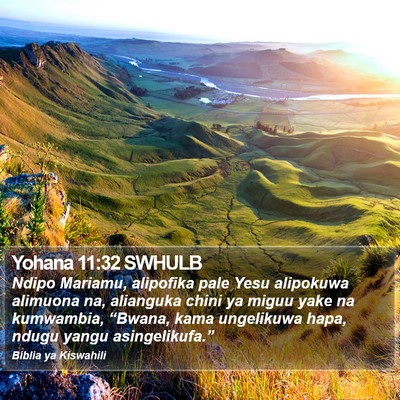 Yohana 11:32 SWHULB Bible Verse Image