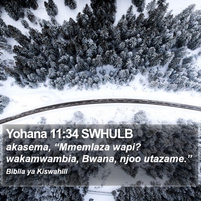 Yohana 11:34 SWHULB Bible Verse Image