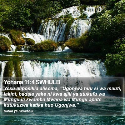 Yohana 11:4 SWHULB Bible Verse Image