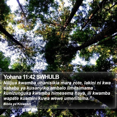 Yohana 11:42 SWHULB Bible Verse Image