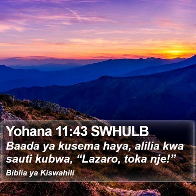 Yohana 11:43 SWHULB Bible Verse Image