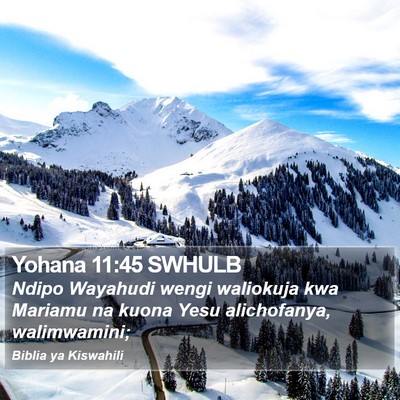Yohana 11:45 SWHULB Bible Verse Image