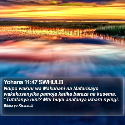Yohana 11:47 SWHULB Bible Verse Image