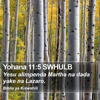 Yohana 11:5 SWHULB Bible Verse Image