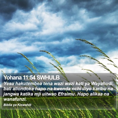 Yohana 11:54 SWHULB Bible Verse Image